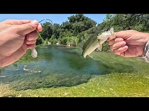 UNEXPECTED BIG BASS WHILE FISHING THE RIVER. Fishing the cleanest water you will ever see