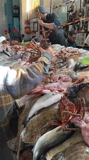 Fresh Lobster In Tanger Fish Market #fish #food