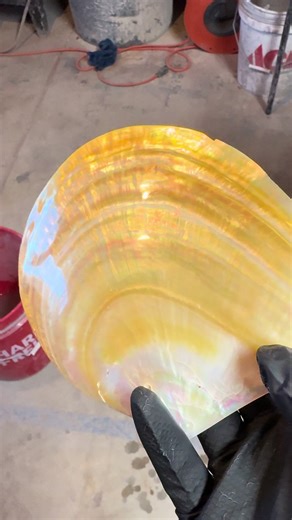 Creating Stunning Doublet Cabochons with Fordite and Mother of Pearl