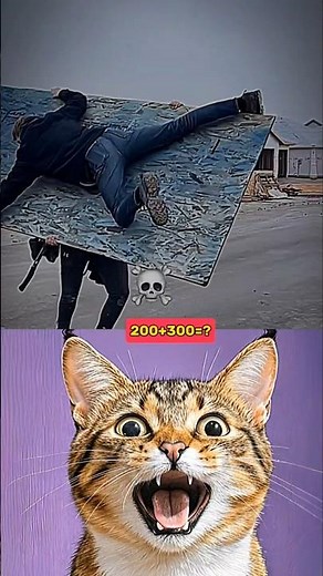 FUNNY MONKEY STYLE WITH MY FRIEND 🐒😂 #funny #cat #dance #shorts #monkey