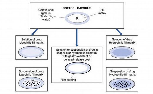 How to Make Softgel Capsules - SaintyTec