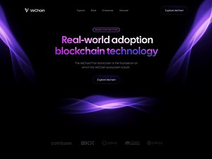 Real World Blockchain Website Animation
