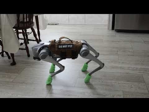 Unitree Go2 gets a firmware update