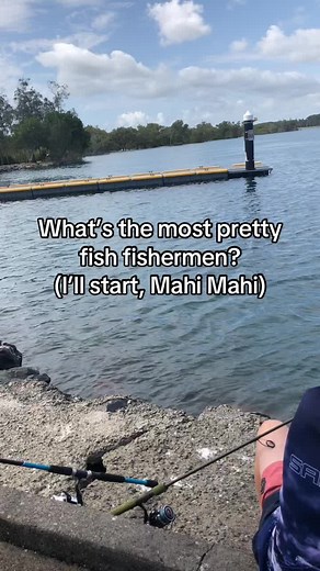 Mahi Mahi: The Most Beautiful Fish for Fishermen