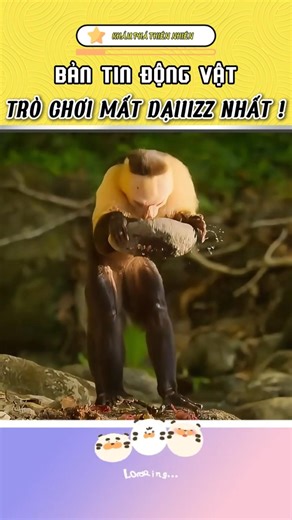 Bắt Cóc Con Non Loài Khác? “Trò Chơi” Gây Sốc Trong Tự Nhiên