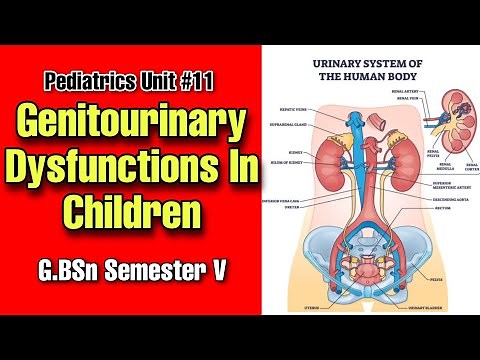 Genitourinary dysfunctions inChildren,Nephrotic Syndrome,Bartter's Syndrome,Congenital Renal Atrophy