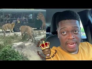 Shuler King - I Would’ve Passed Out