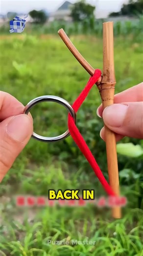 Can You Outsmart This Puzzle Try It in 30 Seconds! #PuzzleChallenge #ImpossiblePuzzle #CanYouSolveThis #iq #iqtest #brainteaser #puzzle #puzzle #tiktok #fyp #viral #usa