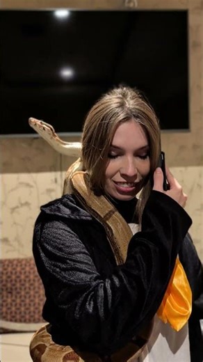 hi #toronto #snake #pet