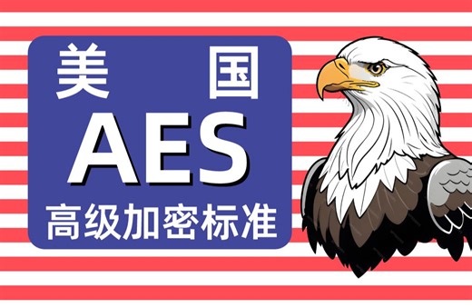 （只用加法乘法）手撕美国AES高级加密标准过程