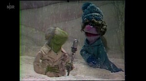 Unermüdlich im Einsatz: Reporter Kermit Mehr Sesamstraßen Klassiker findet ihr in der ARD Mediathek: https://www.ardmediathek.de/sesamstrasse. #schnee #winter #kermit | Sesamstraße