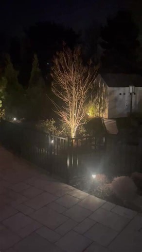 4.8K views · 133 reactions | https://www.lisaaromano.com Happy New...