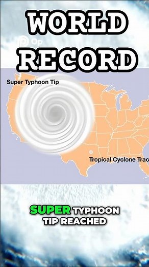 The Largest Typhoon in History | Super Typhoon Tip Explained #weatherforecast #hurricane #typhoon