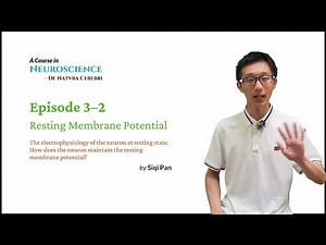 Neuroscience Course - EP3-2 Resting Membrane Potential