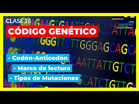 🟢 The GENETIC CODE Characteristics and Decoding 🧬【Molecular Biology Course 2022】