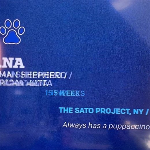 The Sato Project on Reels