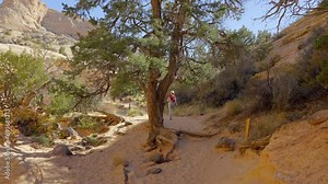 Establishing shot of mountain trail with red rocks background in Hickman Natural Bridge Trail, Capital Reef National Park, Utah, North America. Day time on October 2023. Still camera view. ProRes 422