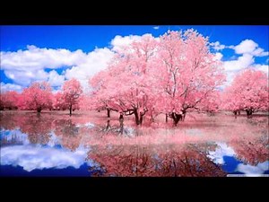 Always On My Mind - Instrumental (Violin)