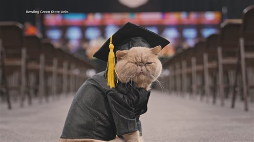 Viral social media star 'Pudge the Cat' graduates from Bowling Green State University