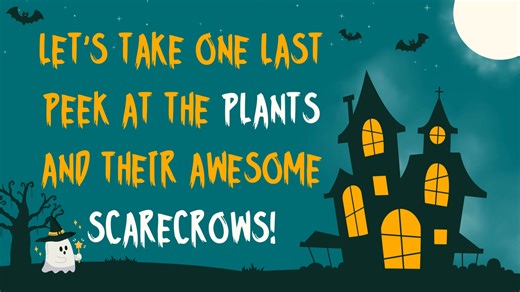  The moment you’ve been waiting for… the winners of the Scarecrow Challenge 2025 are here! Watch the video to see who took the crown!  | Crown Linen | Facebook