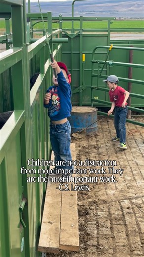 5.4K views · 2.8K reactions | This is definitely my favorite part of working on a ranch. Watching kids learn and enjoy helping and working is very rewarding. It does require some patience but is usually worth it. Being able to be raise them on a ranch is a huge blessing for them and me. Peep the new @powderriverlivestock tub and alley  | Rancher Ryan | Facebook