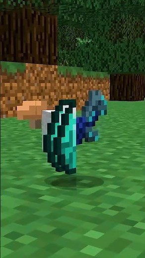 269 Minecraft Things You Didn't Know Existed!