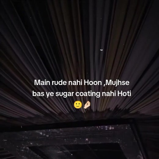 Understanding Rudeness and Authenticity on TikTok