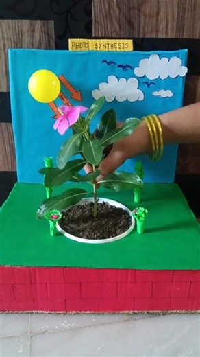 photosynthesis working model 3D||photosynthesis science project making#photosynthesis #diy