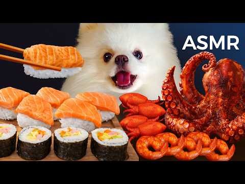 ASMR Mukbang | Yue the Pomeranian Eating Sushi, Seafood, Squid, Salmon, Octopus, Kimbap, Shrimp