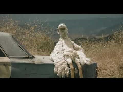 Foster Farms Chicken.