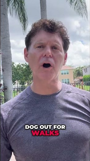 Dog's Early Socialization: Summer Walks & Overheating Prevention #shorts