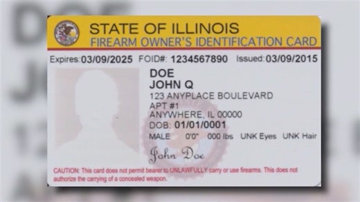 Cook County sheriff calls for funding to enforce firearm regulations