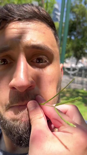 ‏I Can Whip My Belt Faster Than A Pork-Chop On Sunday🐷🤠