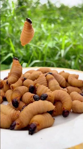 Worm ASMR Cooking Recipe #worm #asmr #cooking #recipe