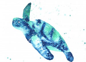 Sea Turtle | Cosmic Animal Meanings, Symbolism & Dreams