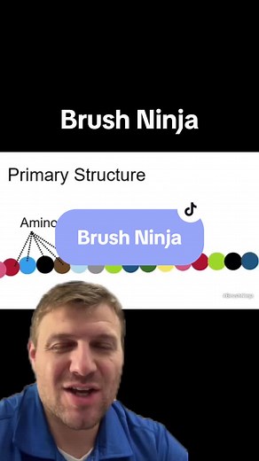 Brush Ninja #biology #teaching #animation #gif #lessonplan #science #greenscreenvideo #greenscreen