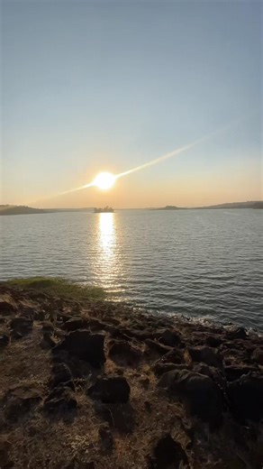 How to handle exam pressure? 🥹By Ms Dhoni 🧊|| #minivlog #vlog #short mini vlog