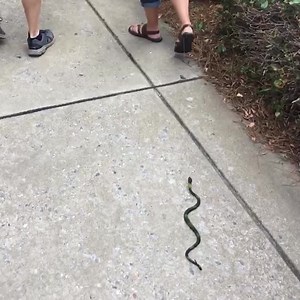 You'd be surprised what can make you go FAST! | Always Funny