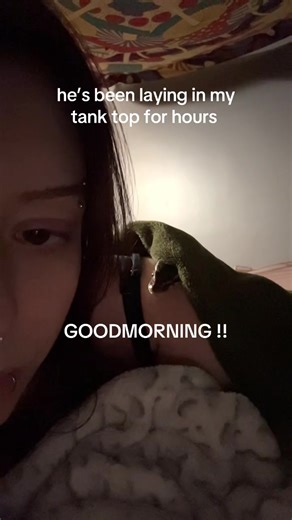 what even are snakes man #fyp #pet #reptile #cute #xyzbca | pet snake