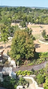 109K views · 3.4K reactions | Elephant Trek opens tomorrow - Oct. 1! Come see the largest habitat in Zoo history! | Cincinnati Zoo & Botanical Garden | Facebook