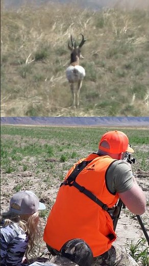Pronghorn Shot at 300 Yards w/ 6 Creedmoor! Perfect Heart Shot!