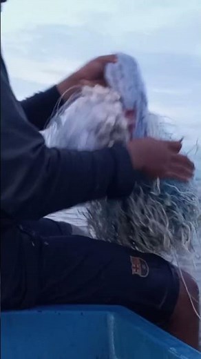 How to put a fish in a fishbowl