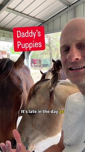 Meet Dre & Mako: Daddy's Puppies at the Ranch