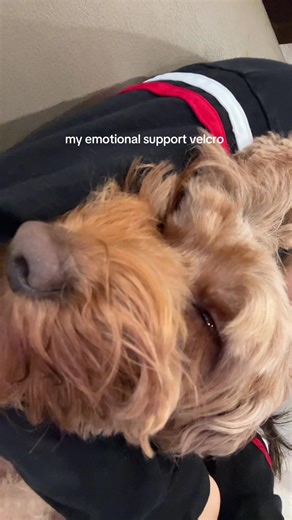 her love language is physical touch