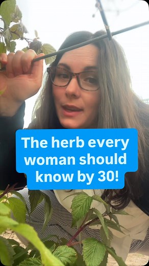 Red raspberry leaf is one of the most supportive herbs for women at every stage of life. It’s packed with minerals like magnesium, potassium, iron, and calcium, plus vitamins C, E, and B vitamins that help nourish the body deeply. It’s best known for strengthening and toning the uterus, which can support smoother cycles, fertility, and even pregnancy and postpartum recovery. It also helps calm cramping, balance tissues, and gently astringe the body when things feel “too loose,” like diarrhea or 