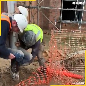 2.7M views · 2.4K reactions | When you enjoy being a little mischievous | Metisha Schaefer | Facebook