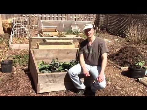 How to Use a Cold Frame Alberta Urban Garden