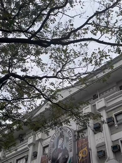 New Year’s Resolutions for 2026: Perpetualite Insights