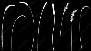 Create simple designs or entire fields of grass with this collection of isolated, growing grass elements. Cut out elements, duplicate, flip, scale, and rotate for variety.