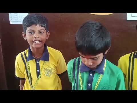 Our science fair project conductors and insulator